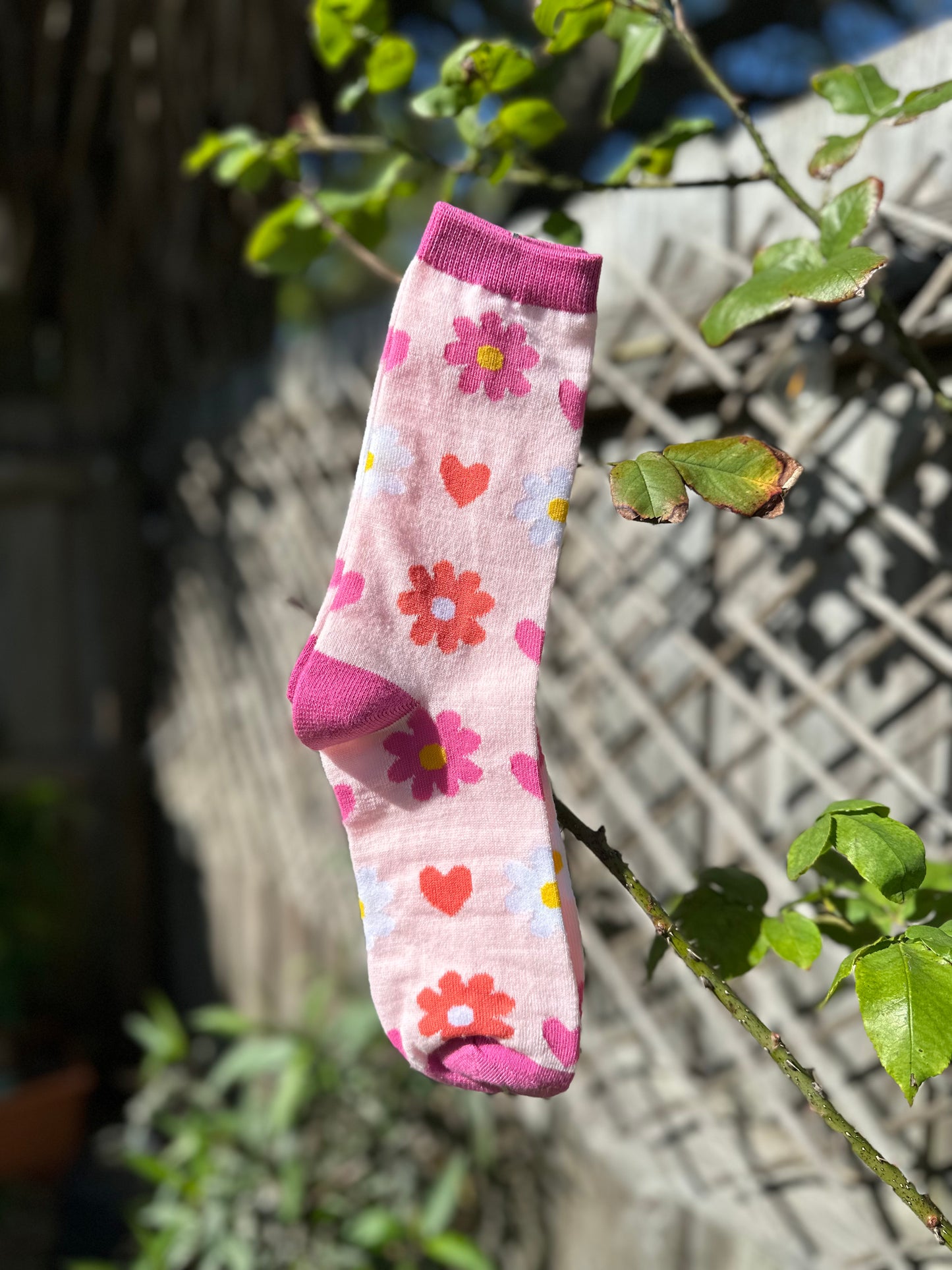 Spring Flowers Socks